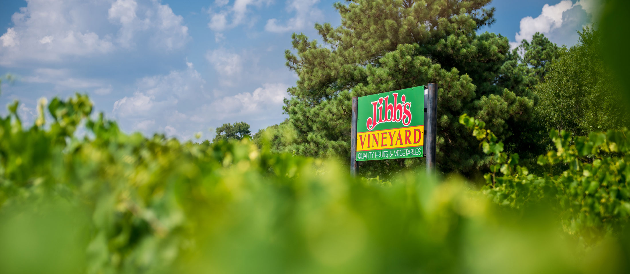 Letrero de Jibb's Vineyard que dice frutas y verduras de calidad.